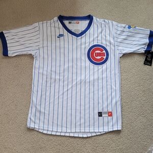 Nike Chicago Clubs Ryne Sandberg #23 Home White Pinstriped MBL Jersey Men M